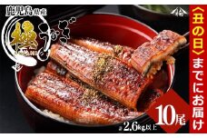 【丑の日までに配送】楠田の極うなぎ 蒲焼き 260g以上×10尾(計2.6kg以上) wa24-003-us