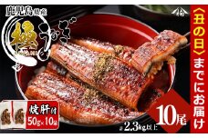 【丑の日までに配送】楠田の極うなぎ蒲焼き 230g以上×10尾(計2.3kg以上) 焼肝10袋付き wa24-004-us