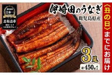 【丑の日までに配送】【数量限定】鹿児島県産 伊崎田のうなぎ蒲焼 中＜150g以上＞× 3尾(計450g以上) 鰻 うなぎ ウナギ 蒲焼き 3尾 国産 九州産 鹿児島県産 冷凍 おつまみ 鰻重 うな丼 b1-020-us