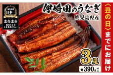 【丑の日までに配送】【数量限定】鹿児島県産 伊崎田のうなぎ蒲焼 ＜130g以上＞× 3尾(計390g以上) 鰻 うなぎ ウナギ 蒲焼き 3尾 国産 九州産 鹿児島県産 冷凍 おつまみ 鰻重 うな丼 a8-077-us