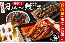 【丑の日までに配送】日ノ本一の鰻贅沢セット！(うなぎ蒲焼ハーフカット、きざみ鰻、肝串) ウナギ 国産 九州産 かばやき 冷凍 うな丼 うな重 ひつまぶし a5-312-us