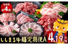 【定期便全4回】ししまる牛・豚定期便A(4ヶ月連続・計4.19kg以上) 黒毛和牛 黒豚 国産牛 九州産 豚 豚肉 肉 牛肉 国産 小分け 真空包装 冷凍 t0044-006