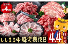 【定期便全4回】ししまる牛・豚定期便B(4ヶ月連続・約4.4kg) 黒毛和牛 国産牛 九州産 豚 豚肉 肉 牛肉 国産 小分け 真空包装 冷凍 t0050-021