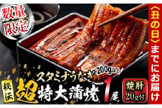 【丑の日までに配送】【数量限定】鹿児島県産！秘伝の特上スタミナうなぎ超特大蒲焼き1尾＜200g以上！＞焼肝20g付き！ a1-101-us