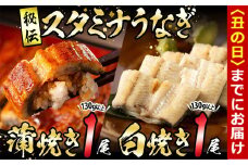 【丑の日までに配送】【数量限定】鹿児島県産！秘伝の特上スタミナうなぎ蒲焼き＆白焼きセット！＜計260g以上＞ a5-265-us