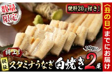 【丑の日までに配送】【数量限定】鹿児島県産！秘伝の特上スタミナうなぎ白焼き＜2尾・計240g以上＞焼肝20ｇ付き！ a4-063-us