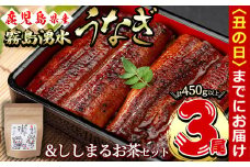 【丑の日までに配送】霧島湧水鰻3尾＆ししまるお茶セット 霧島湧水鰻(156g以上×3尾)＆緑茶ティーバッグ(3g×6個) 鹿児島県産 うなぎ ウナギ たれ タレ さんしょう 山椒 セット 緑茶 うな重 うな茶漬け b0-207-us