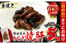 【丑の日までに配送】楠田の極うなぎ 素焼き焼肝(50g×5袋・たれ付き) a1-050-us
