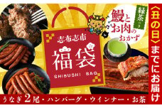 【丑の日までに配送】志布志市福袋！！鰻とお肉のおかず(名水慈鰻2尾＆里山牛ハンバーグ4個＆黒豚MEGUMIウインナー2P＆お茶 総計約1kg) うなぎ 鰻 蒲焼き ハンバーグ ウインナー 黒豚 b8-036-us