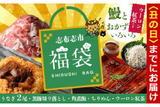 【丑の日までに配送】志布志市福袋！鰻とおかずいろいろセット(霧島湧水鰻2尾＆釜揚げちりめん＆黒豚ウデ切り落とし＆ウーロン紅茶＆角煮飯) ウナギ 蒲焼 2尾 バラエティ お楽しみ b8-034-us