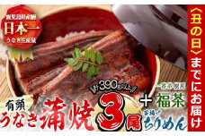 【丑の日までに配送】極うなぎ蒲焼130g以上×3尾(計390g以上)+釜揚げちりめん110g+福茶100g うなぎ 鰻 ウナギ 蒲焼 3尾 真空パック 鰻重 うな丼 ちりめん 一番茶 緑茶 冷凍 お茶 有頭 セット b4-010-us