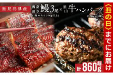 【丑の日までに配送】鹿児島県産 霧島湧水鰻3尾(1尾156g)×里山牛100%手作りハンバーグ4個(1個100g) (総計860g以上) うなぎ 鰻 ウナギ 蒲焼き 真空パック うな丼 鰻重 牛 牛肉 鹿児島県産 国産 ハンバーグ 100% b6-019-us