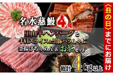 【丑の日までに配送】名水慈鰻4尾と牛肩スライス＆黒豚バラしゃぶ＆釜揚げちりめん＆里山牛ハンバーグ＆お茶セット 総計4kg超！ うなぎ 鰻 蒲焼 真空パック 牛肉 豚肉 黒豚 バラ しゃぶしゃぶ ハンバーグ ちりめん しらす ちりめんじゃこ 緑茶 wa0-002-us
