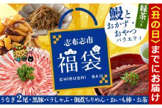 【丑の日までに配送】志布志市福袋！鰻とおかず・おやつ贅沢セット(極うなぎ2尾＆黒豚バラしゃぶ2P＆お茶＆佃煮ちりめん＆お芋棒) ウナギ バラエティ 詰め合わせ 食べ比べ お楽しみ b8-035-us
