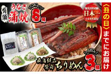 【丑の日までに配送】極うなぎ蒲焼130g以上×8尾(計1040g以上)+佃煮ちりめん130g+釜揚げちりめん110g×3個+ちりめん100g うなぎ 鰻 ウナギ 蒲焼 8尾 真空パック 鰻重 うな丼 ちりめん しらす ちりめんじゃこ e7-017-us