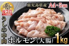 うしの中山 A4・A5等級黒毛和牛 ホルモン（大腸） 計1kg（500g×2袋）黒毛和牛 和牛 肉 牛肉 国産 九州産 鹿児島県産 ホルモン 焼肉 日本一 a5-347