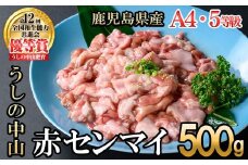 うしの中山 A4・A5等級黒毛和牛 赤センマイ（ギアラ）計500g（500g×1P）黒毛和牛 和牛 肉 ホルモン 国産 九州産 鹿児島県産 焼肉 煮込み 鍋料理 もつ鍋 日本一 p9-033