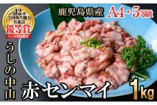 うしの中山 A4・A5等級黒毛和牛 赤センマイ（ギアラ）計1kg（500g×2P）黒毛和牛 和牛 肉 ホルモン 国産 九州産 鹿児島県産 焼肉 煮込み 鍋料理 もつ鍋 日本一 a5-345