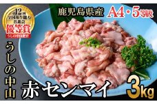 うしの中山 A4・A5等級黒毛和牛 赤センマイ（ギアラ）計3kg（500g×6P）黒毛和牛 和牛 肉 ホルモン 国産 九州産 鹿児島県産 焼肉 煮込み 鍋料理 もつ鍋 日本一 c0-132