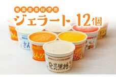 奄美産素材使用ジェラート 12個入り　A047-002