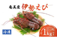 伊勢えび 約1kg以上（2尾～3尾）　A050-002