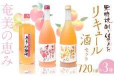 黒糖焼酎仕込み リキュール酒セット すもも酒・たんかん酒・梅酒 720ml×3本　A002-001