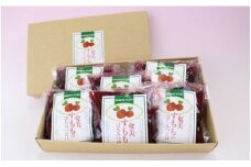 【ギフトにどうぞ】奄美のとれたて すもものはちみつ漬け 6袋入り　A015-006