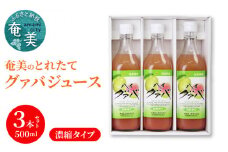 【ギフトにどうぞ】奄美のとれたてグアバジュース 3本セット　A015-003