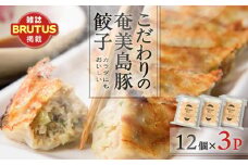 こだわりの奄美島豚餃子　A011-007
