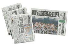 【定期購読】南海日日新聞（3ヶ月間購読/毎日発送）※休刊日付・年末年始除く。　A009-003