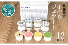【La Fonte】手づくりジェラート奄美 12個セット　A084-002