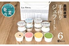 【La Fonte】手づくりジェラート奄美 6個セット　A084-001