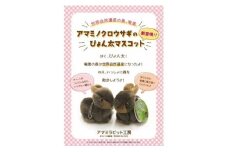 アマミノクロウサギ「ぴょん太マスコット」　A107-005