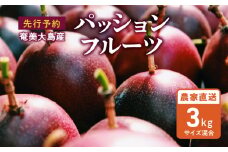 【2025年先行予約】奄美大島産 パッションフルーツ 3kg（サイズ混合）　A092-002