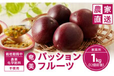 【2025年先行予約】農薬・化学肥料不使用 奄美パッションフルーツ 1kg（12個前後）家庭用　A045-003