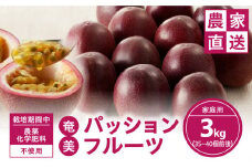 【2025年先行予約】農薬・化学肥料不使用 奄美パッションフルーツ 3kg（35～40個）家庭用　A045-004