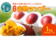 【2024年先行予約分】【奄美情熱】奄美完熟マンゴー 1kg（約300g×3玉）　A115-003