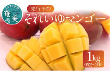 【2025年先行予約】それいゆマンゴー 1kg　A006-016