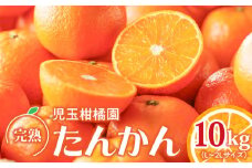 【先行予約】【児玉柑橘園】奄美完熟たんかん 優品 10kg（L～ 2L）　A061-003