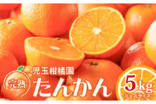 【先行予約】【児玉柑橘園】奄美完熟たんかん 優品 5kg（L～2L）　A061-002