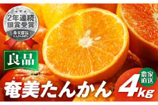 【2026年先行予約】農家直送 奄美たんかん 良品（家庭用） 4kg　A067-001