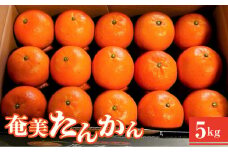 【2025年発送 先行予約】奄美たんかん贈答用（優品）5kg 化粧箱　A070-004