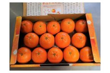 【2025年発送 先行予約】奄美たんかん贈答用（秀品）3kg 化粧箱　A070-003