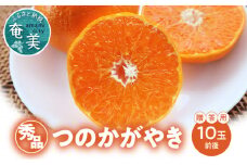 【期間・数量限定！】奄美つのかがやき＜秀品＞化粧箱（8～15玉入）4L～Lサイズ【贈答用】　A070-005