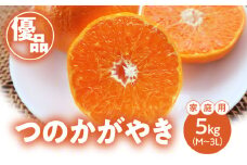 【期間・数量限定！】奄美つのかがやき＜優品＞5kg D.B（3L～Mサイズ）【家庭用】　A070-007