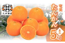 奄美たんかん良品 5kg　A086-004