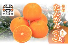 奄美たんかん秀品 3kg　A086-002