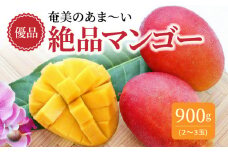 【2023年発送 先行予約】お日様の恵み。奄美のあま～い絶品マンゴー家庭用 900g 優品 _ 太陽 ギフト デザート ご褒美 ビタミン トロピカル フルーツ 果物 お土産 南国 奄美大島 川畑園芸農場 甘い 国産 お取り寄せ 食品 食べ物