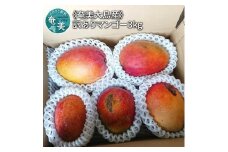 【2024年発送 先行予約】【奄美大島産】訳ありマンゴー 3kg　A034-008