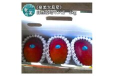 【2024年発送 先行予約】【奄美大島産】自然栽培マンゴー 1kg　A034-009